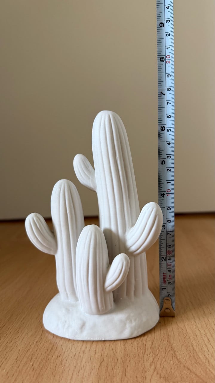 Decoratie Cactus