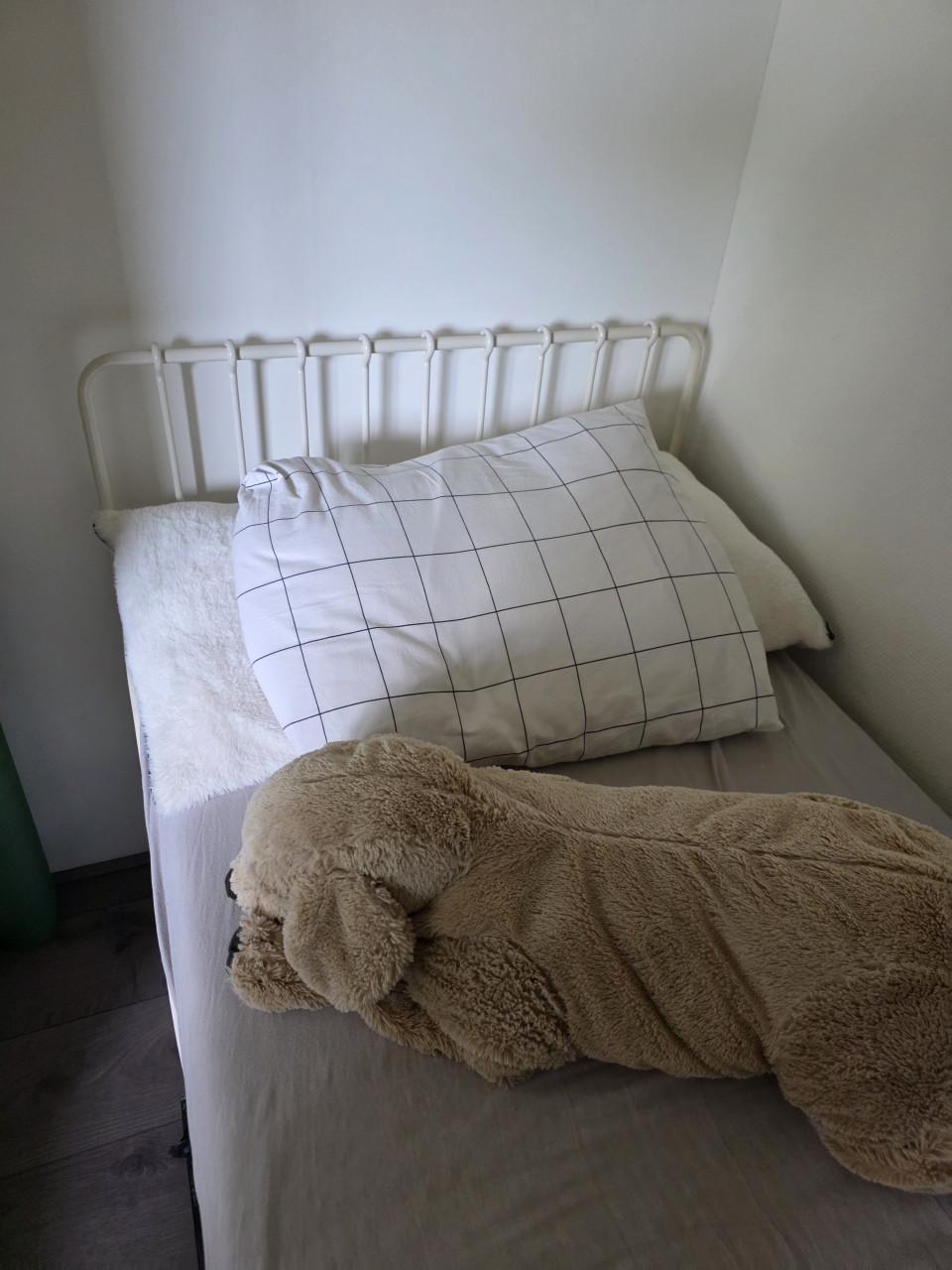 Meegroei bed