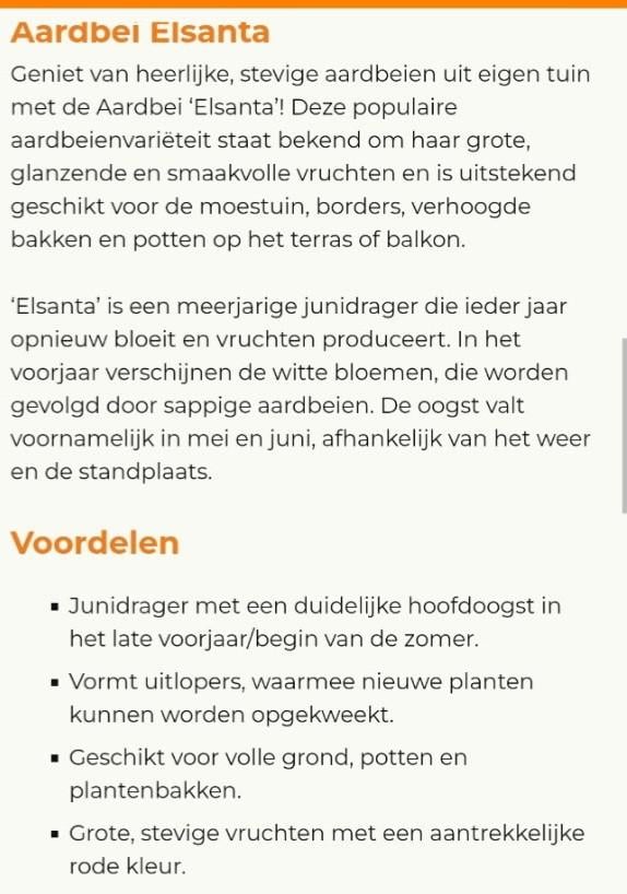 Aardbeiplantjes