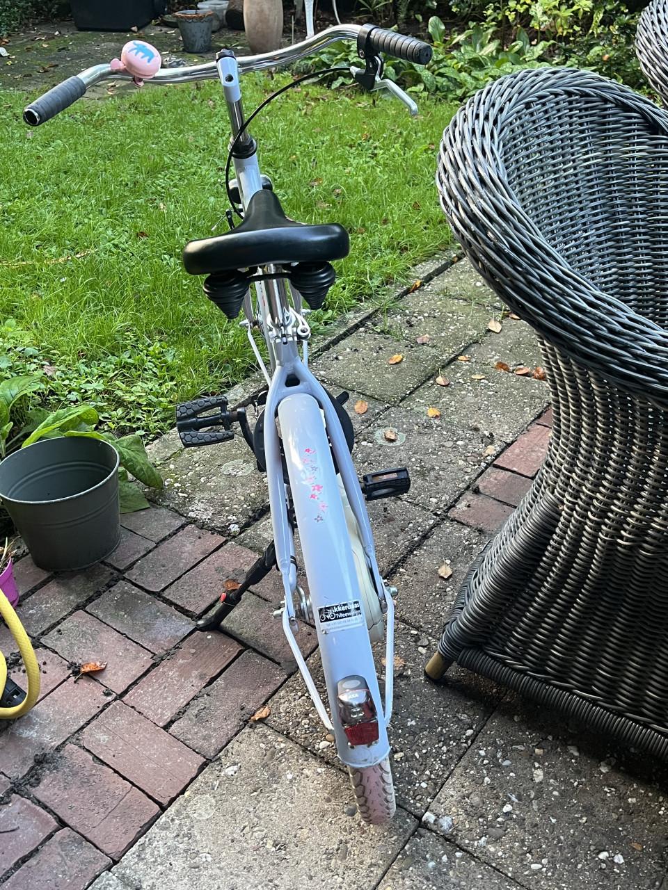 Meisjesfiets alpina 22 inch, 6-8 jaar