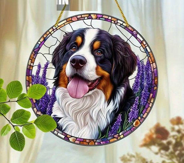 Raamhanger Berner sennen