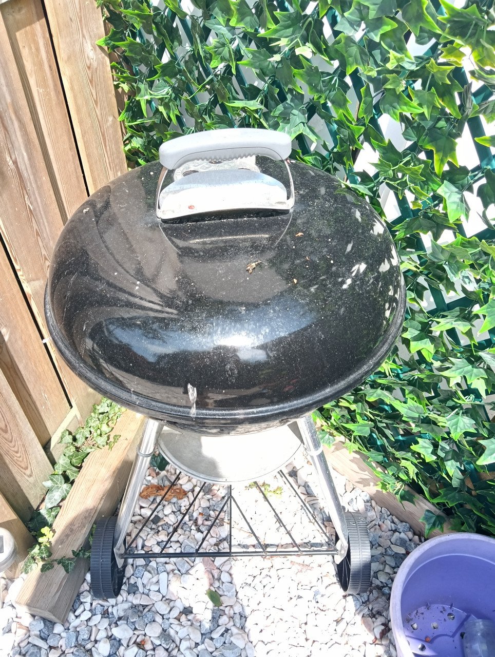 WEBER BBQ