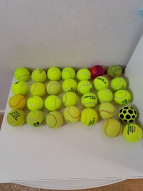30 ballen voor de hond