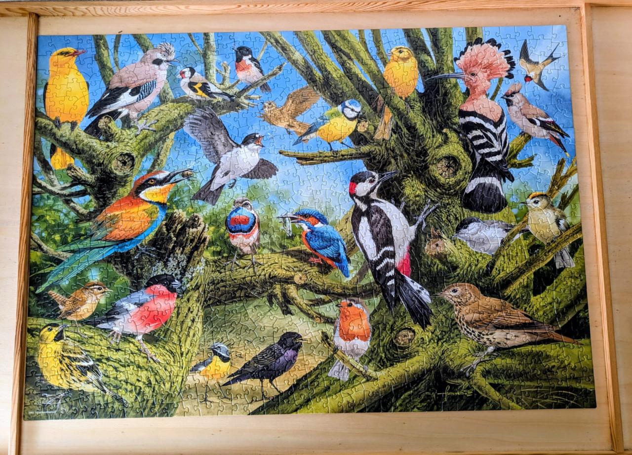 Puzzel Tuinvogels