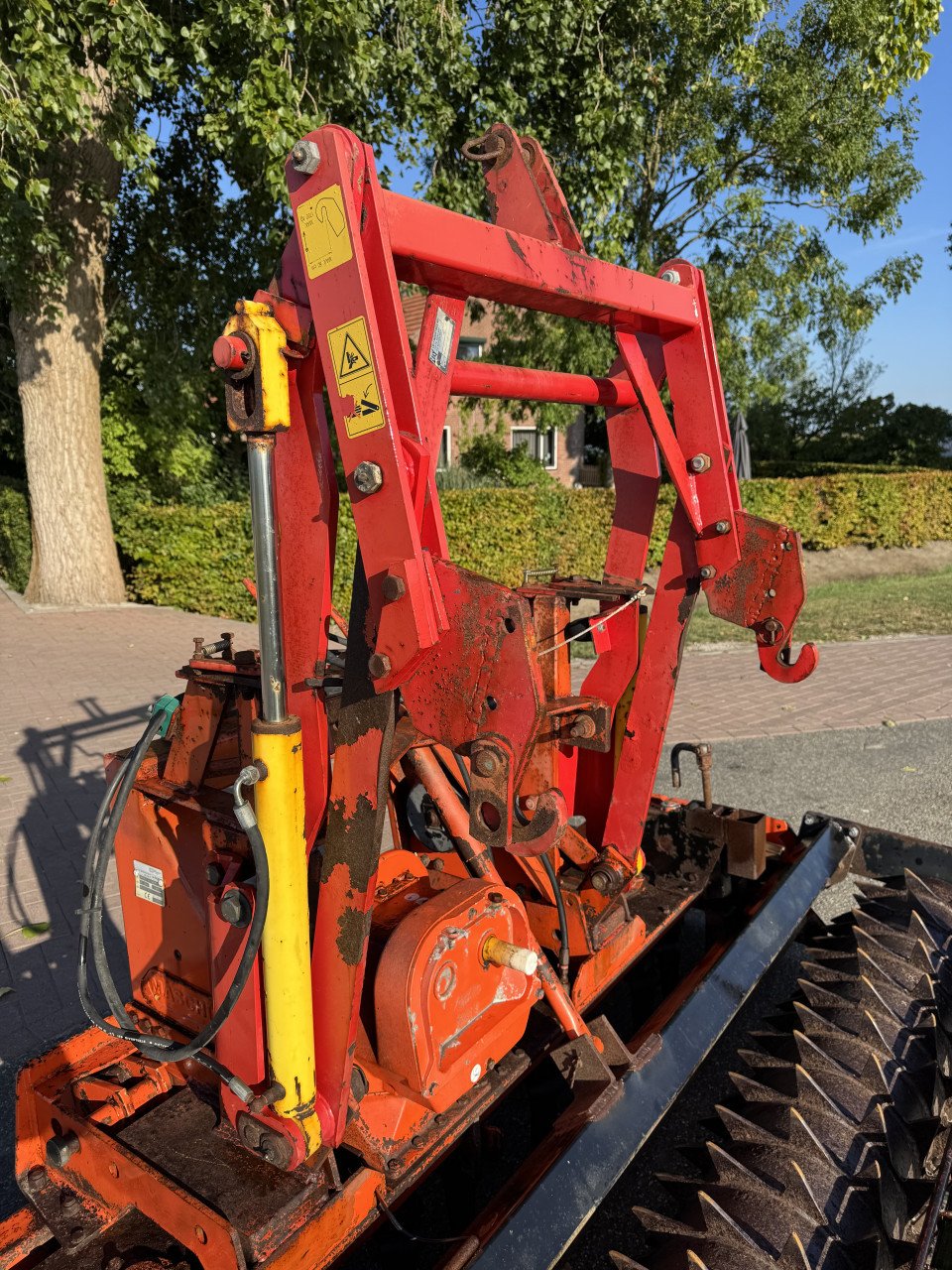 Maschio roterkopheg