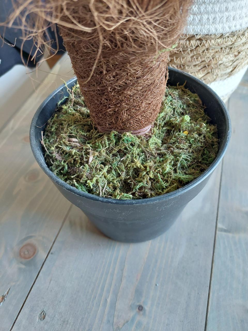 Grote kunstpalm incl. pot,  mooie kwaliteit zgan