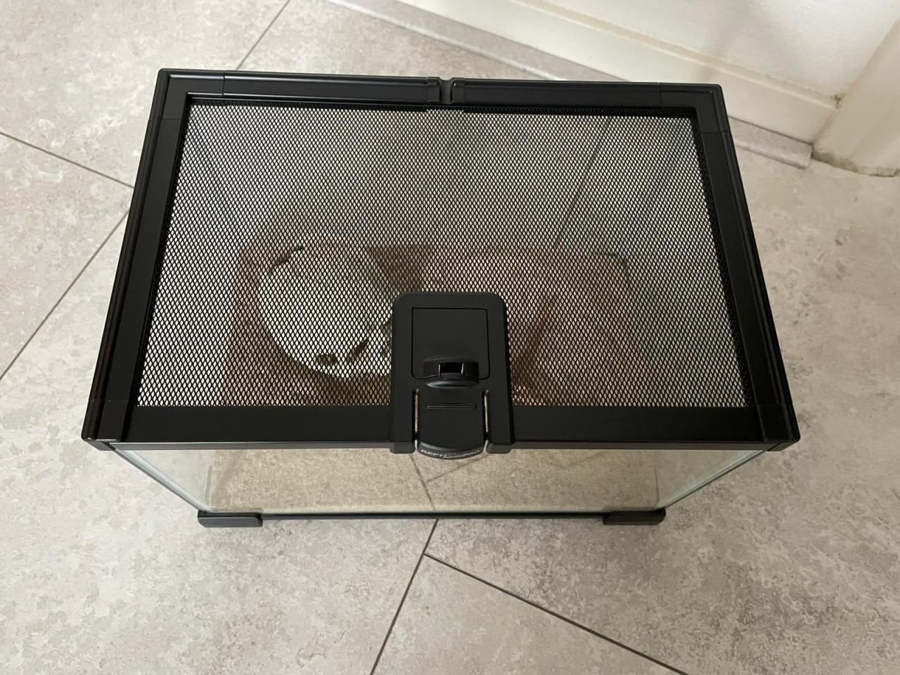 REPTIZOO glazen terrarium