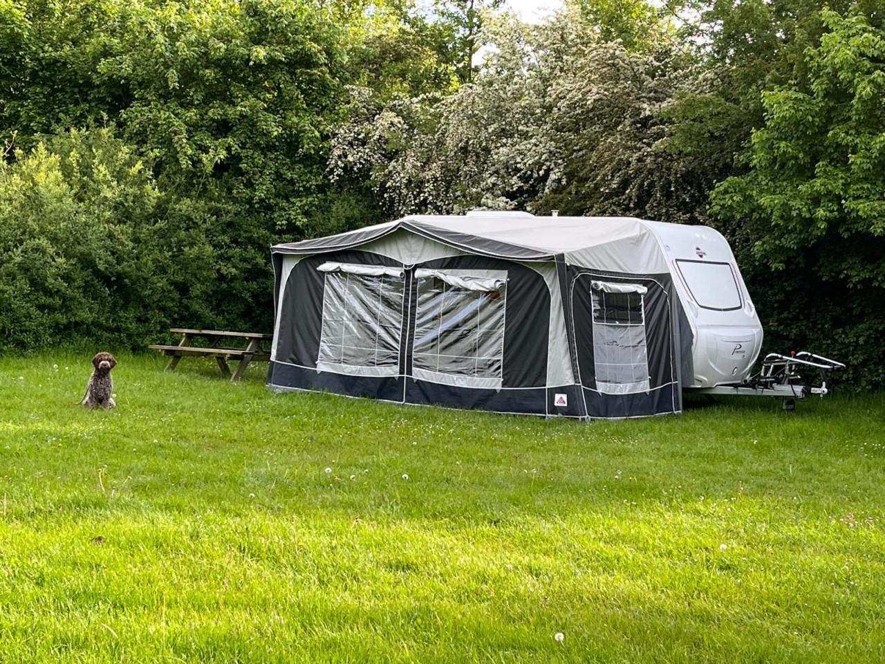 Burstner Premio Life 2019 420 TS Tonic