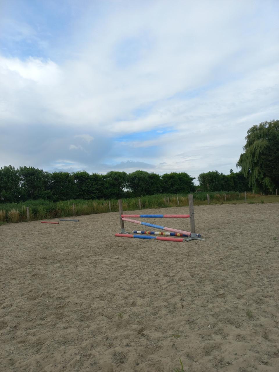 Hindernis staanders en balken set paarden