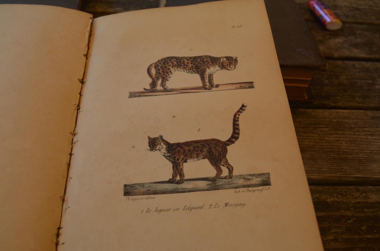 Oeuvres complet de Buffon 1833 fraai!!