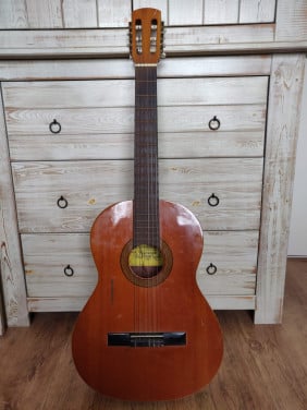 Gitaar met potentie! (Raimundo)
