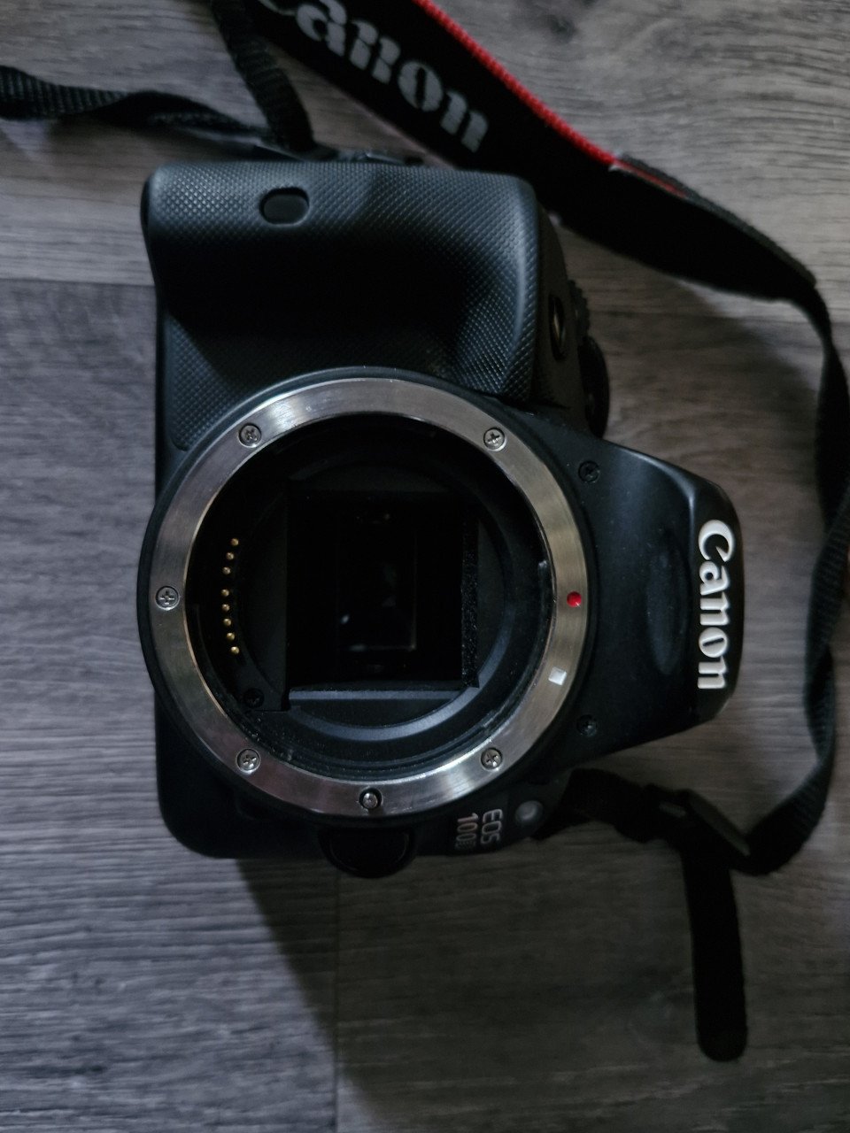 Canon 100d