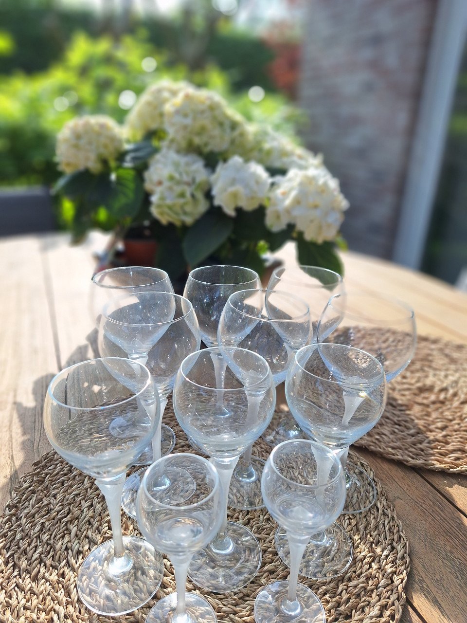 Schott Zwiesel wijnglazen Menuett, rood, wit
