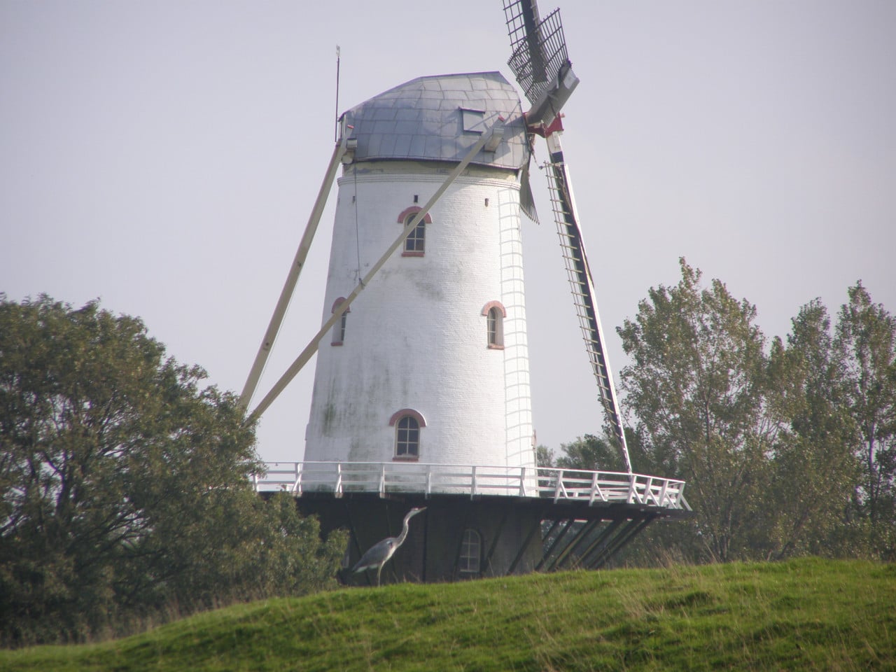 Ik zoek een wandelmaatje