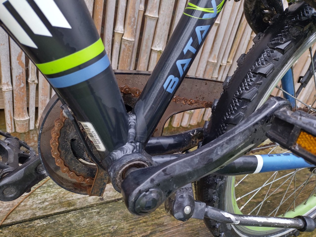 Batavus snake 22 inch