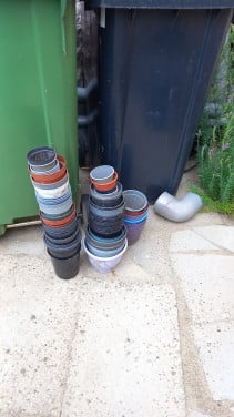 Plastic plant pojes