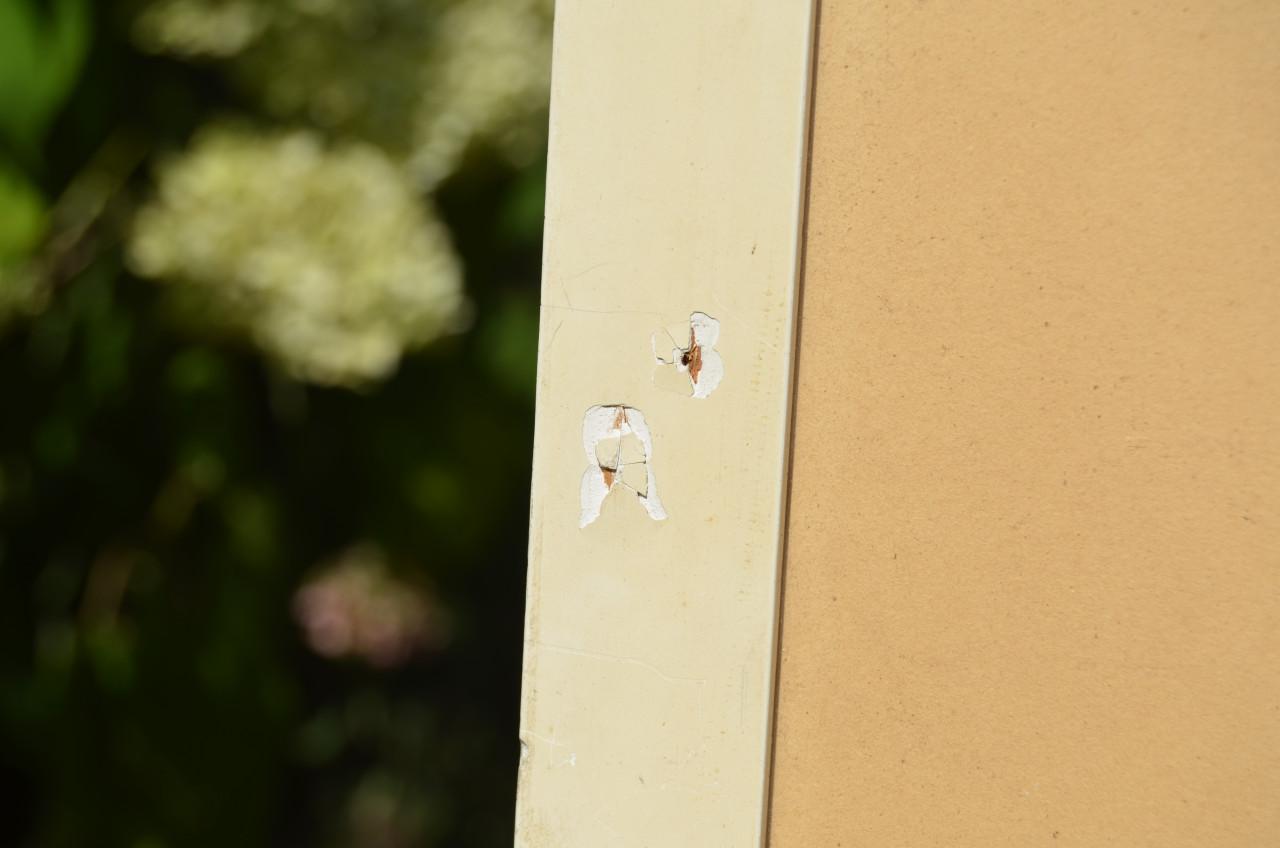 Aquarel Herfstbos aan het water C. Weidner Ballego