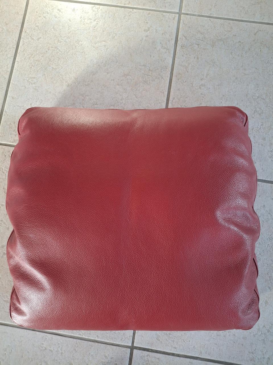 Twee rood leren kussens voor op armleuning