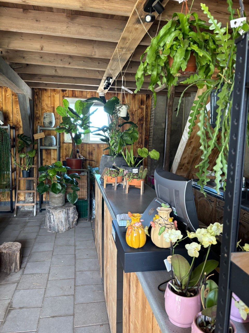 30% korting op alle planten, bomen en potten!