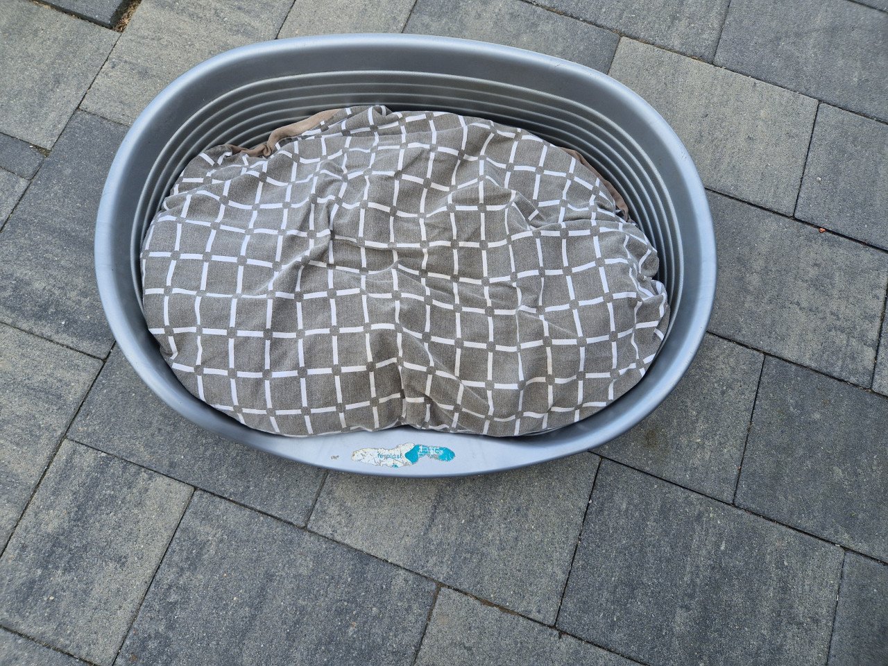 Hondenmand met kussen