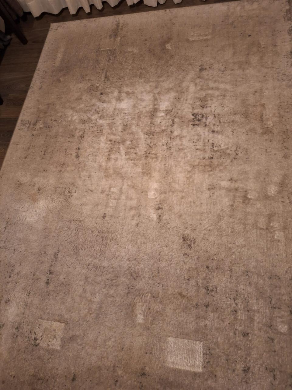 Vloerkleden