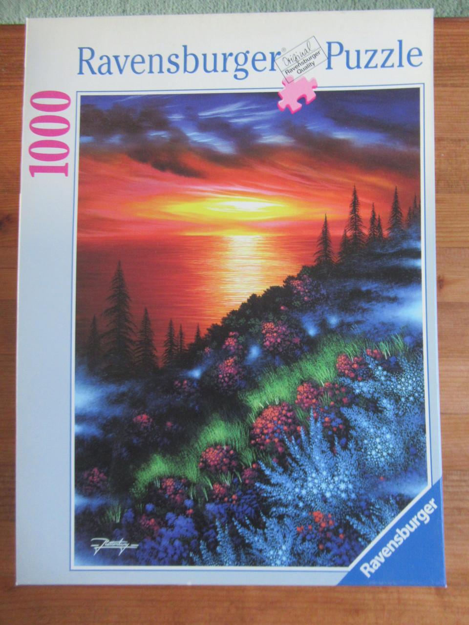 Leuke volledige puzzel van 1000 stukjes, zo goed als nieuw