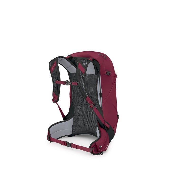 Wandelrugtas Rood
