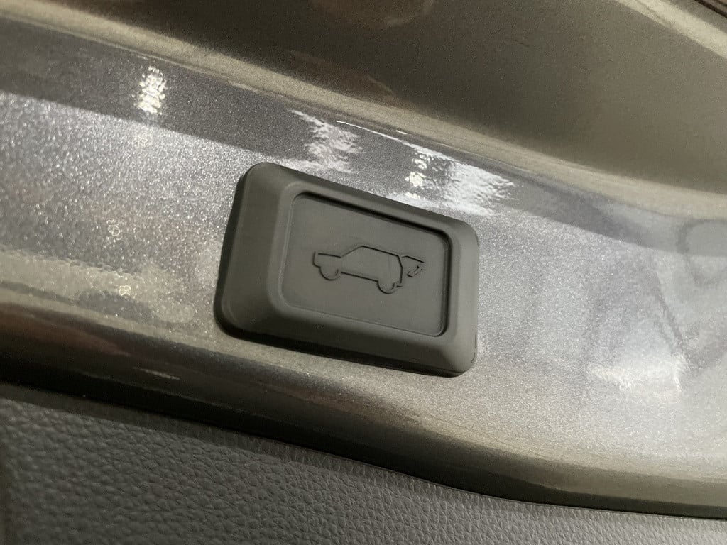 Toyota Rav4 2.5 plug-in hybrid bi-tone plus | panodak | leer |