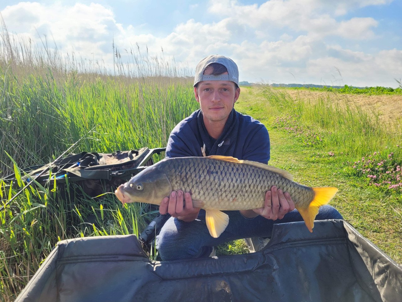 Grote karpers vangen in een mooie karper gebied op Walcheren € 17,50
