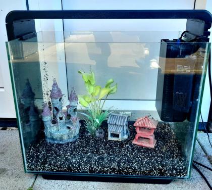 Leuk Aquarium met toebehoren