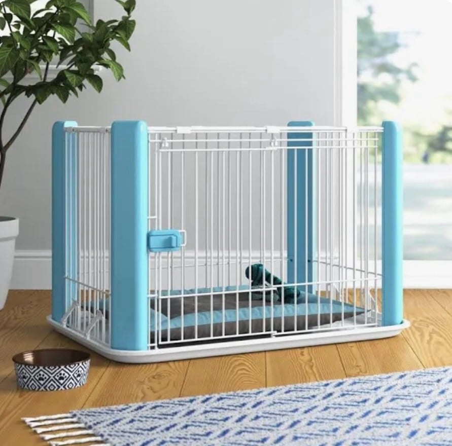 Honden/ puppy ren