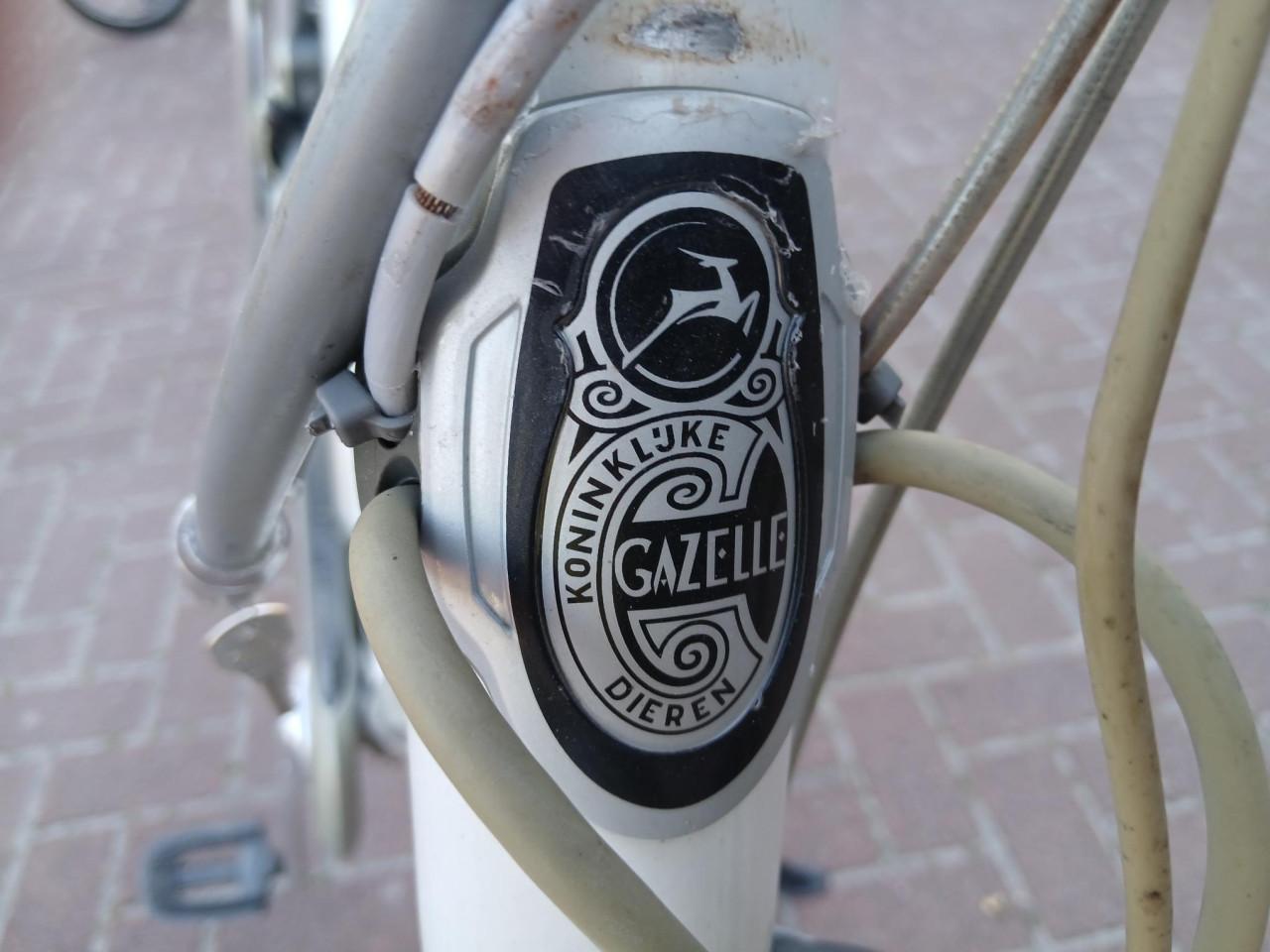 Te Koop Elektrische Fiets