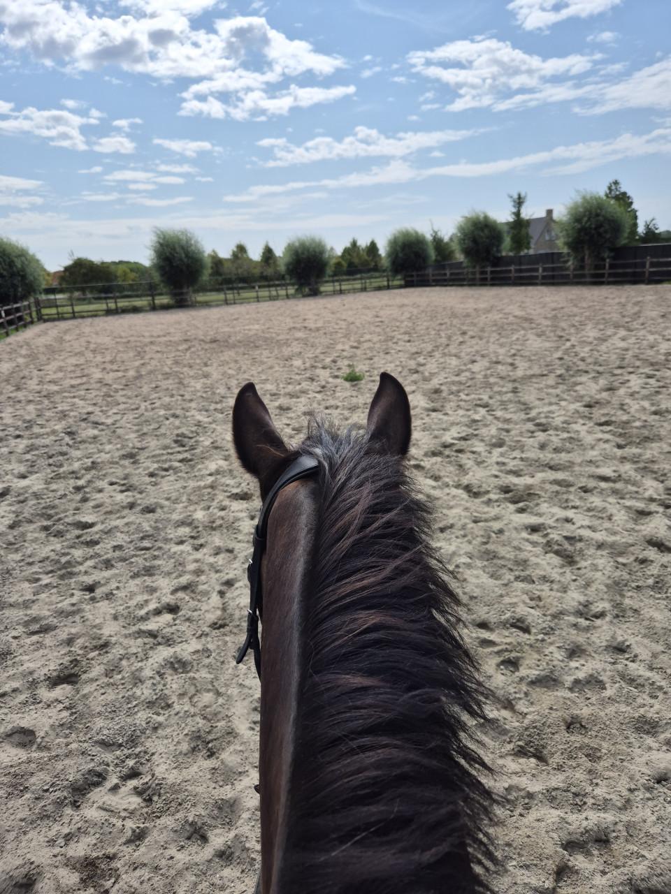 Stalling Krabbendijke