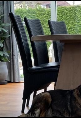 Eetkamerstoelen