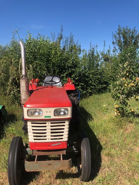 Yanmar 2000