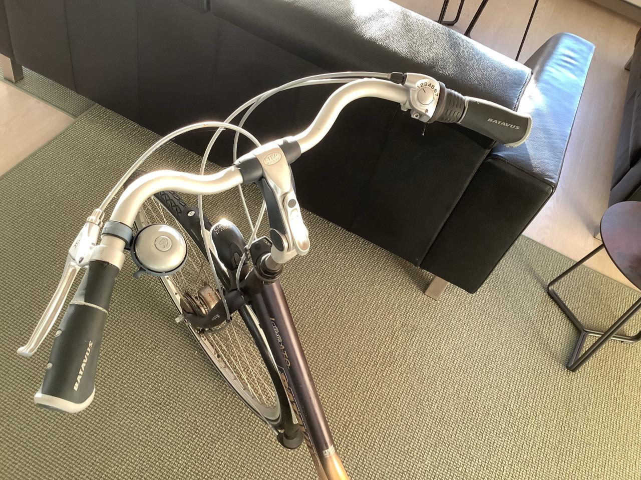 Keurige Batavus Legato