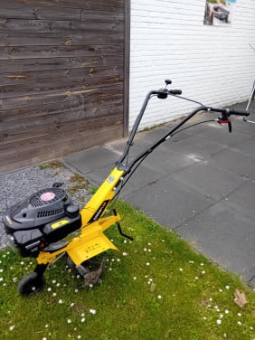 Tuinfrees