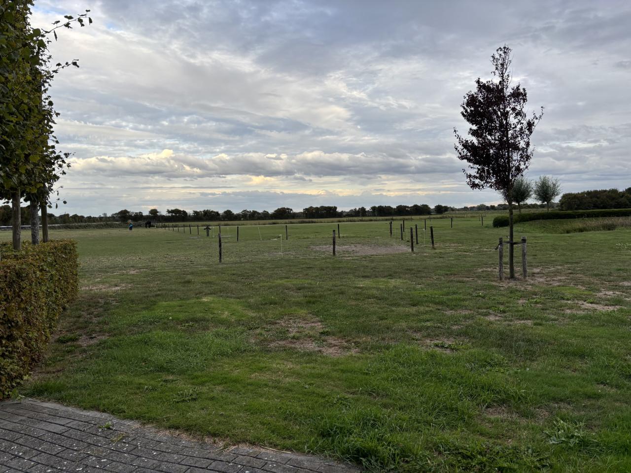 1 box vrij op pensionstalling