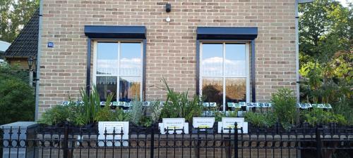 Vaste planten, vlinder,- en bijenplanten voor slechts €1,25 p/st  ++ TIP ++