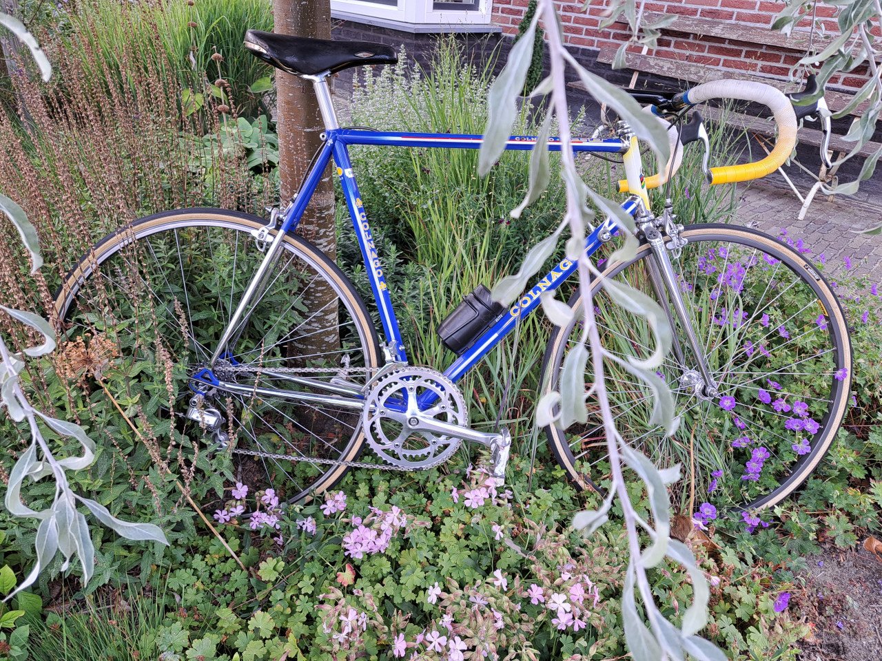 Te koop gevraagd Buckler wielerspulletjes