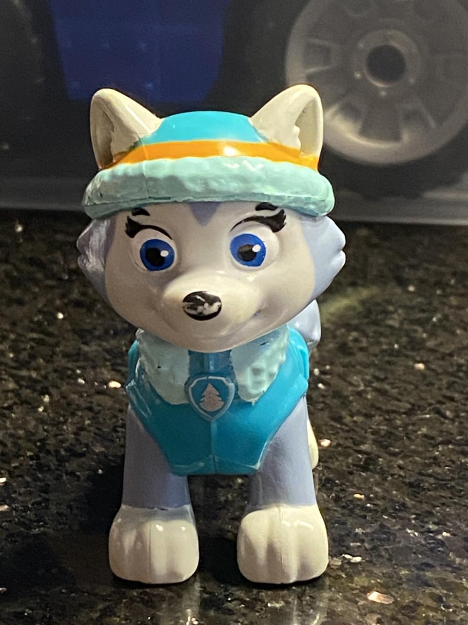 Paw Patrol poppetjes