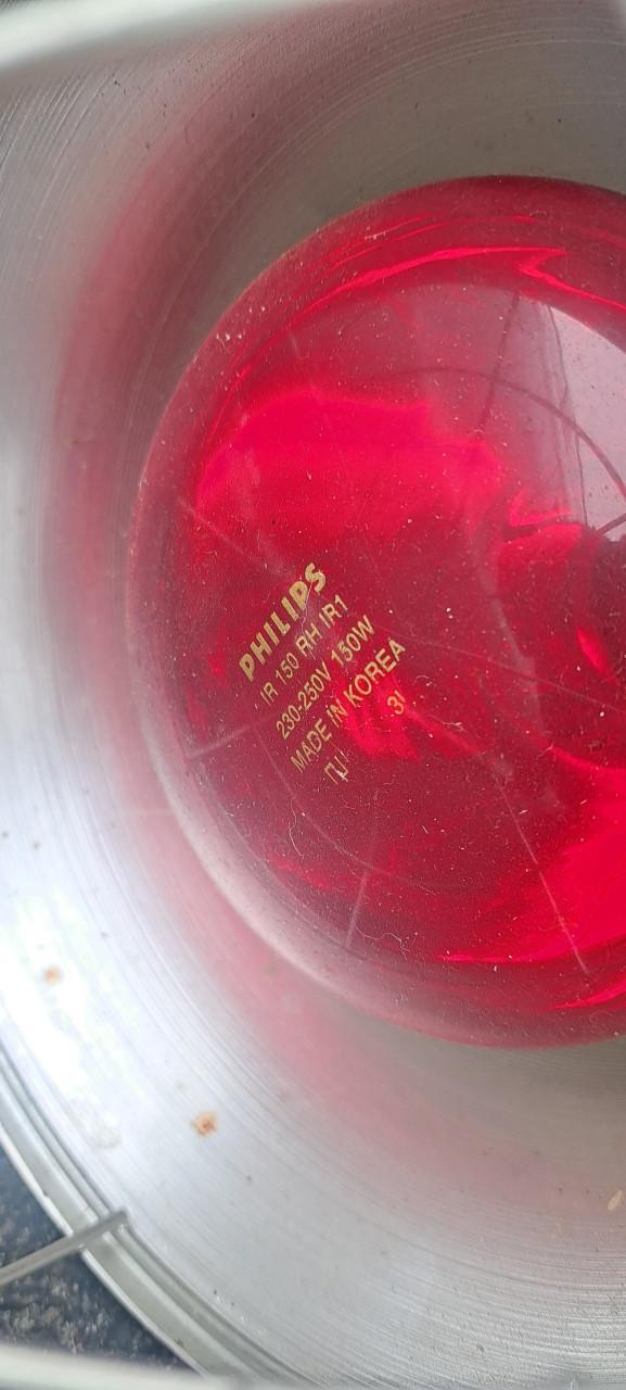 Puppie benodigdheden