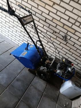 Tuinfrees