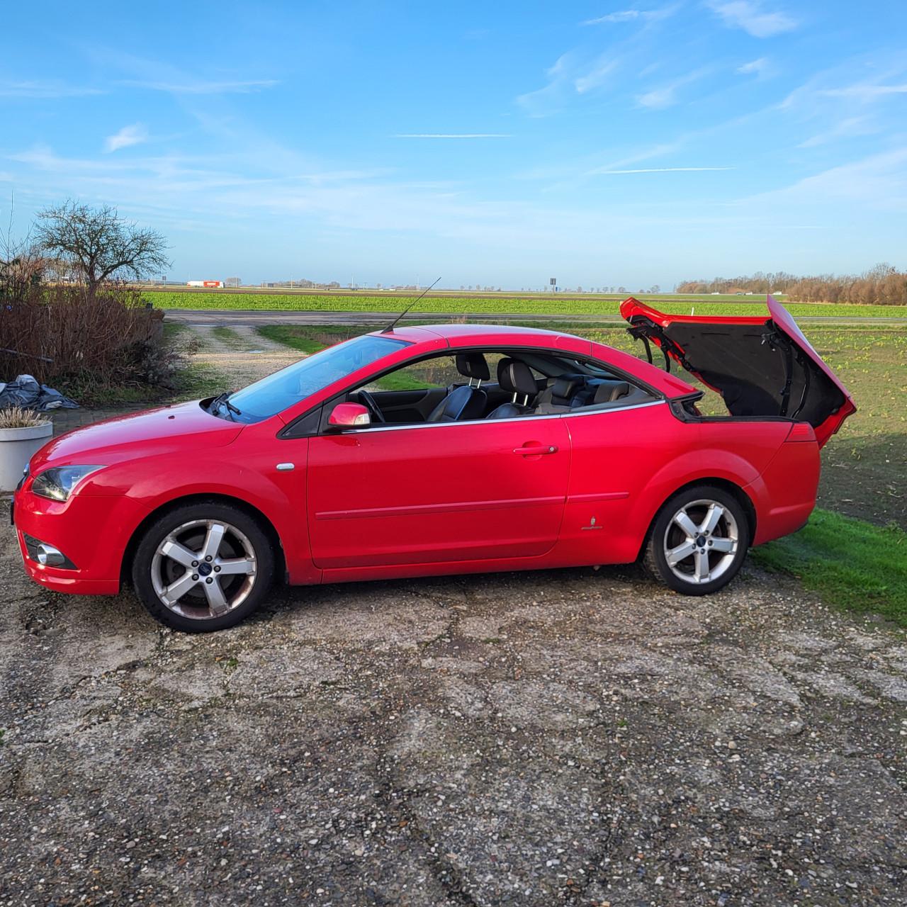 Rode Ford Focus CABRIO (hard top)