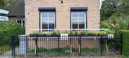 Voordelig vaste planten aanplanten in de tuin ? Slechts €1,25 p/st.