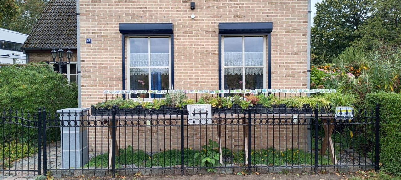 Voordelig vaste planten aanplanten in de tuin ? Slechts €1,25 p/st.