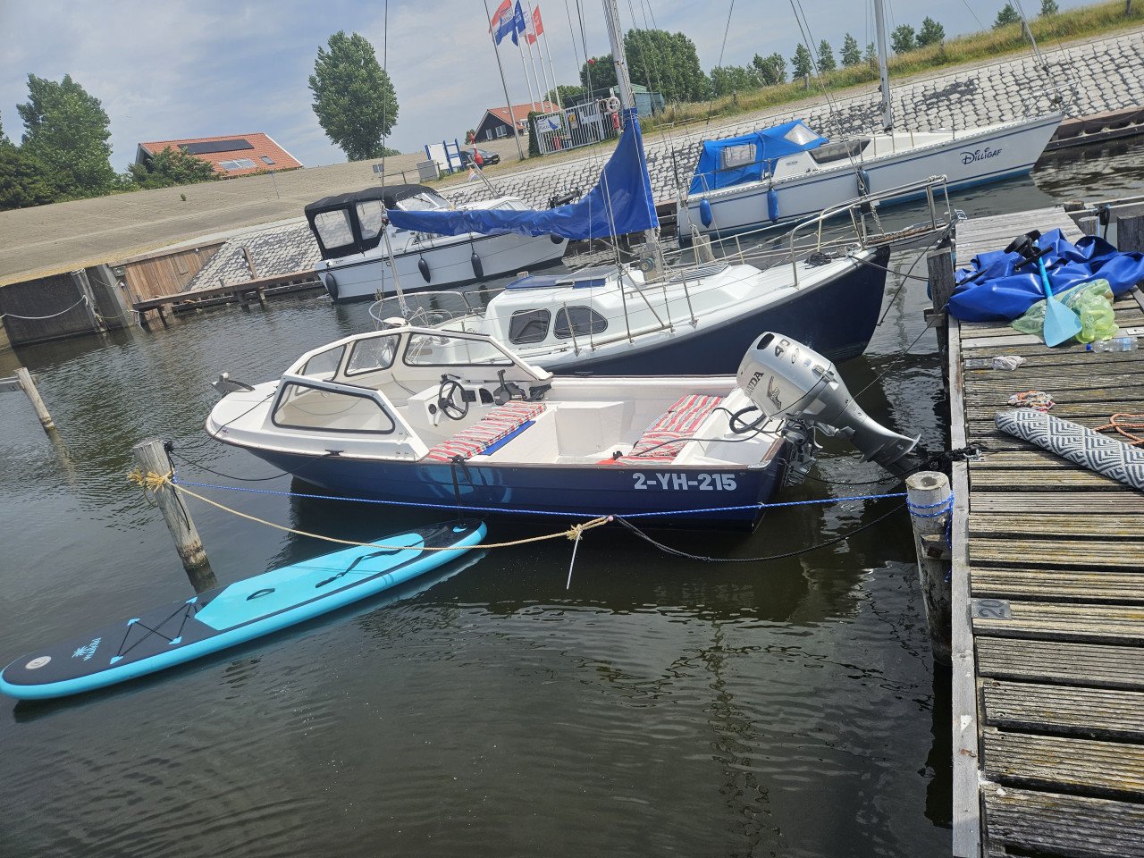 Rana 17