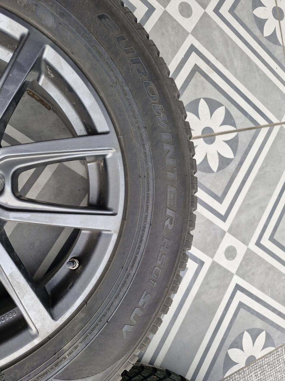 Mitsubishi outlander winterset