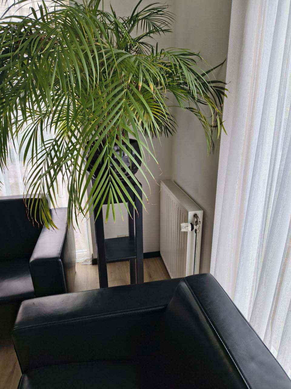 Plantentafel