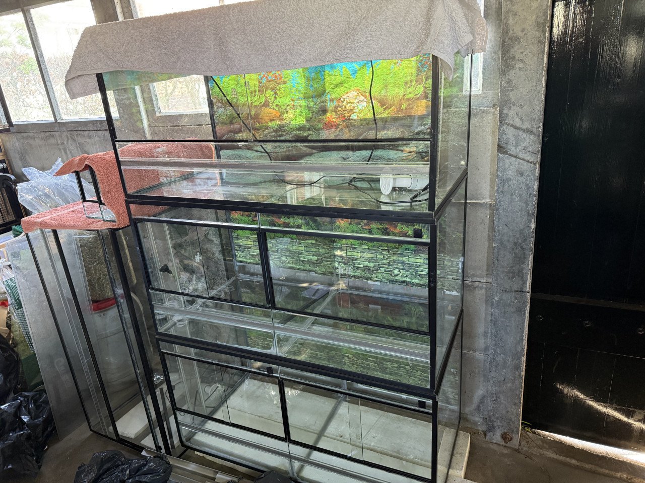 Grote terrariumstelling met 6 terraria